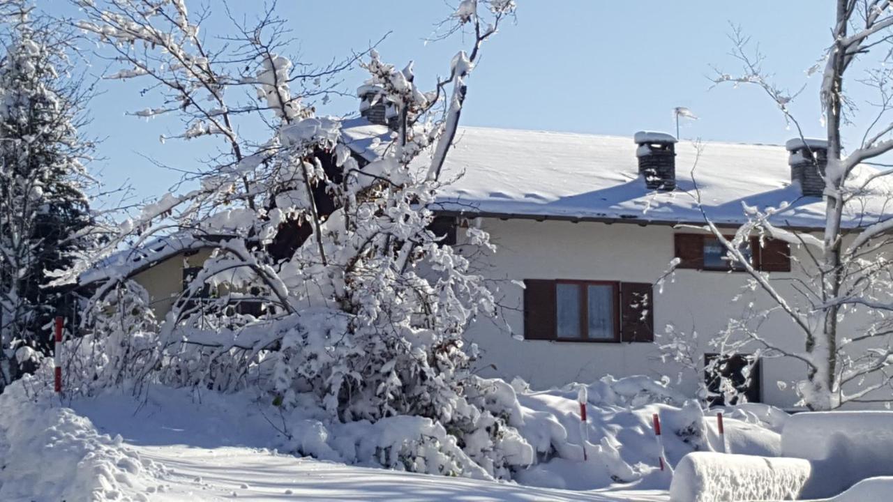B&B I Faggi Lavarone Eksteriør billede